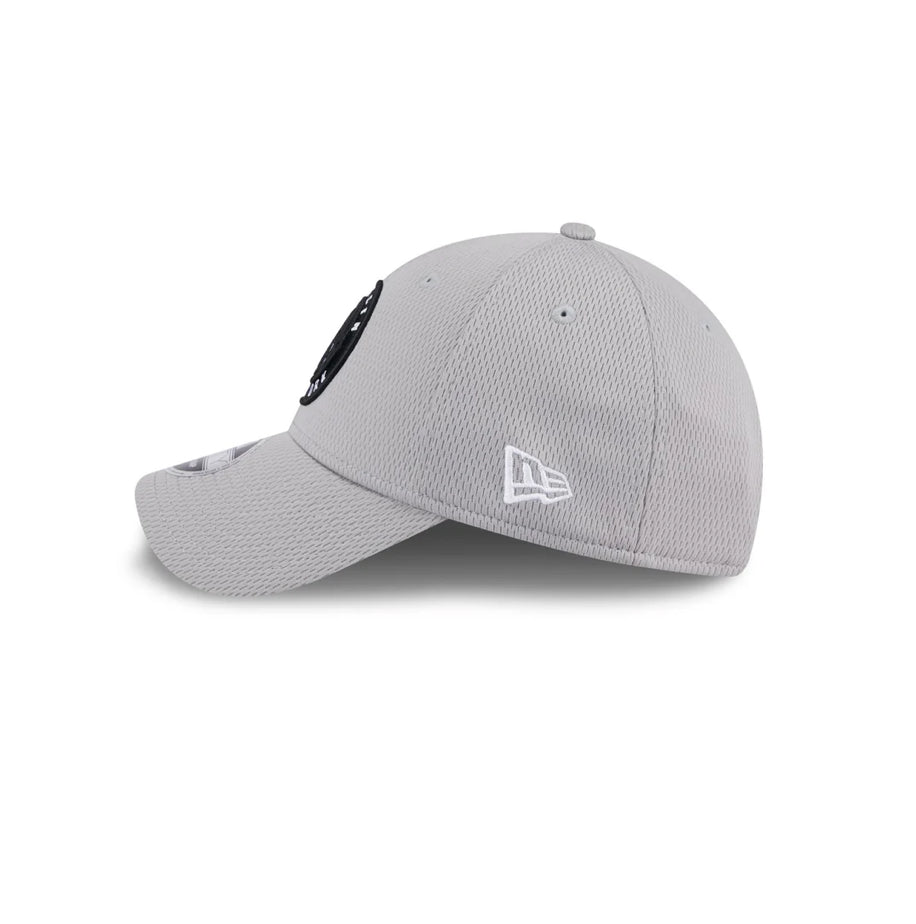 Brooklyn Nets Gray 9FORTY Stretch-Snap Hat